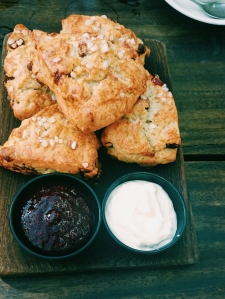 Home-made fruit scones with jam and cream